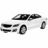 Carros y Camionetas
